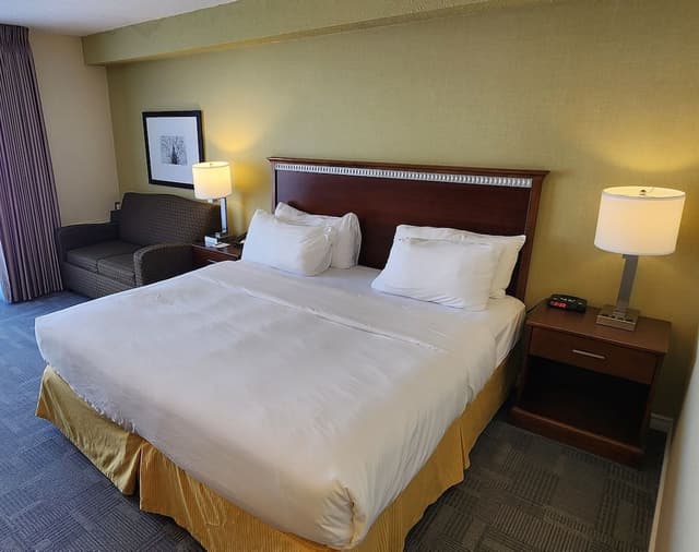 Standard 1 King Bed, Non Smoking