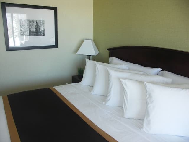 Standard 1 King Bed, Non Smoking