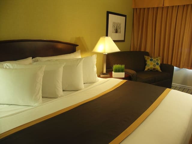 Standard 1 King Bed, Non Smoking