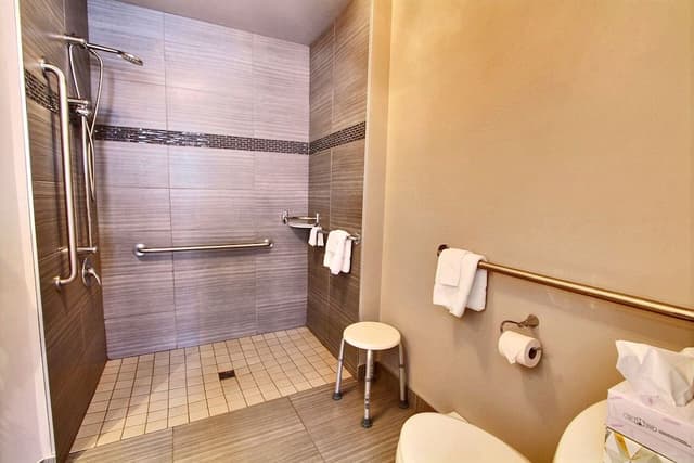 Classic Room, 1 Double Bed, Accessible