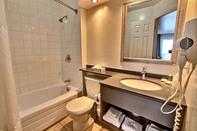 Classic Room, 1 Queen Bed