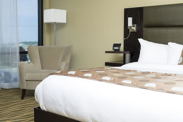 Aqua accessible room 1 king bed