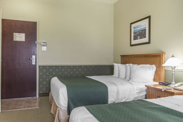 Standard Room, 2 Queen Beds, Non Smoking