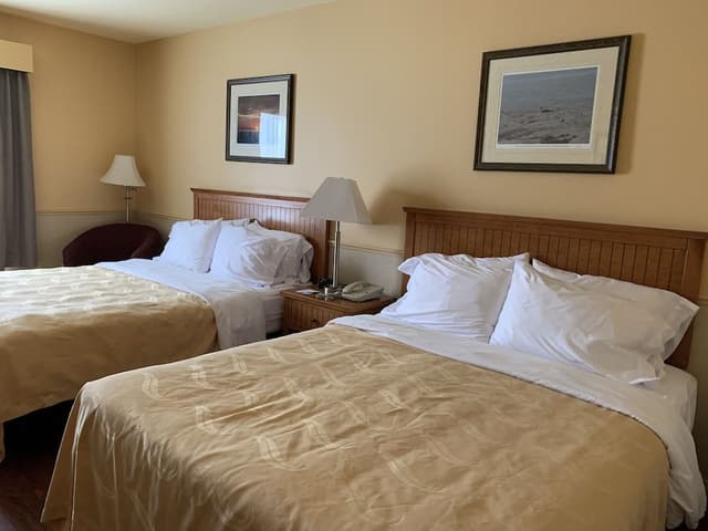 Standard Room, 2 Double Beds, Non Smoking