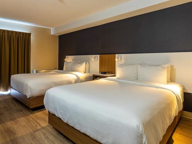 Room 2 Queen Beds, 1st Floor