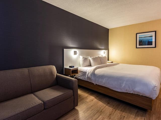 Room, 1 King Bed with Sofa bed, Non Smoking