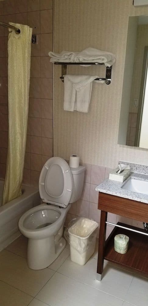 Room, 1 King Bed, Non Smoking