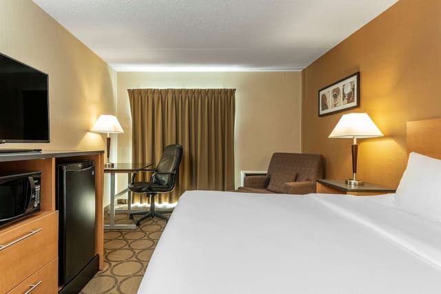 Superior Room, 1 King Bed, Non Smoking