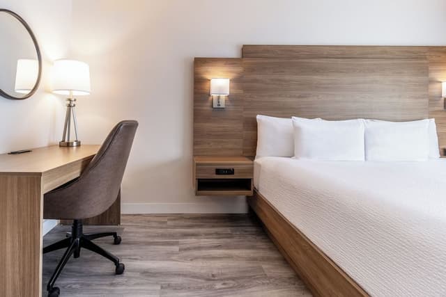 Suite, 1 King Bed with Sofa bed, Kitchenette, Corner