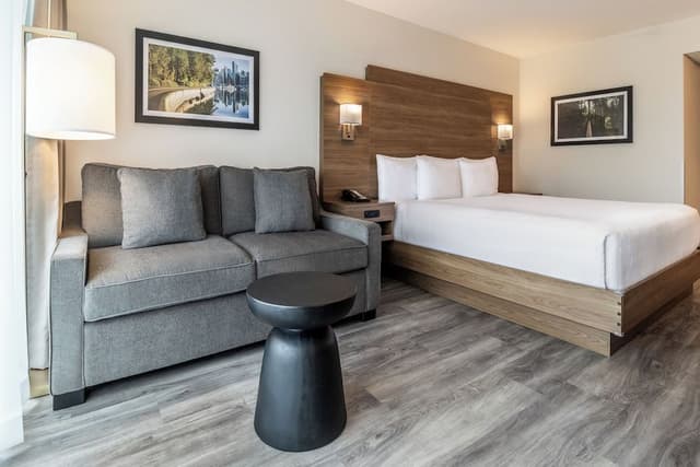 Room, 1 King Bed with Sofa bed, Balcony