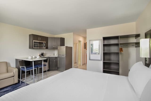 Suite, 1 King Bed with Sofa bed, Non Smoking (Efficiency, Upgrade)