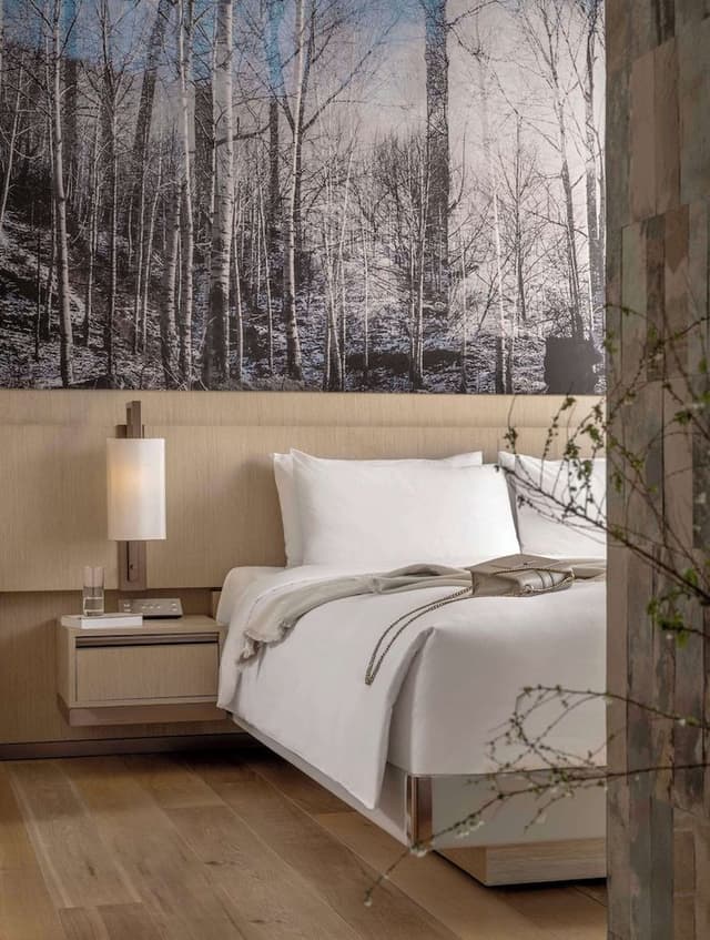 One-Bedroom Residence Suite