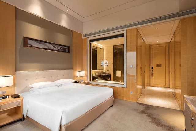 1 KING EXECUTIVE ROOM WITH CITY VIEW