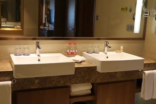 King Deluxe Executive Suite