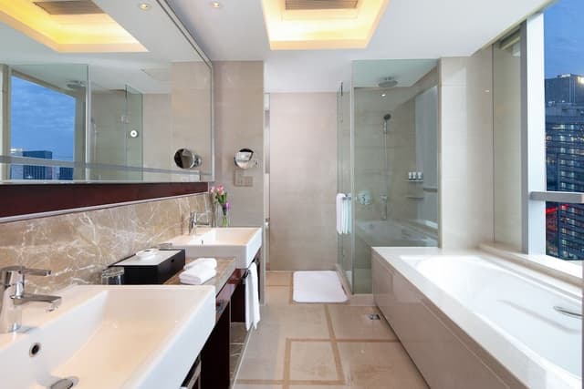 Deluxe Twin Bed Room