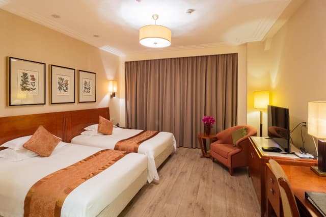 Superior City View Twin Room