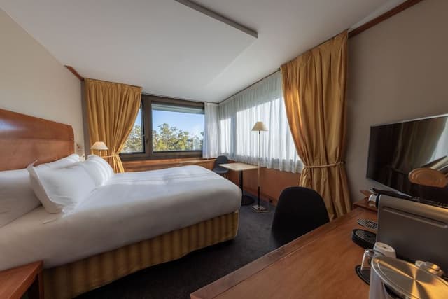 Classic Room, 1 Double Bed