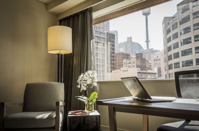 Executive Suite