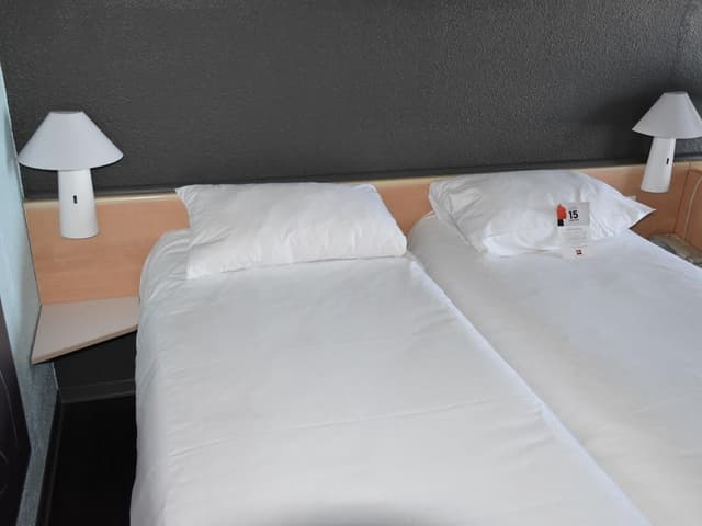Standard Room, 2 Twin Beds