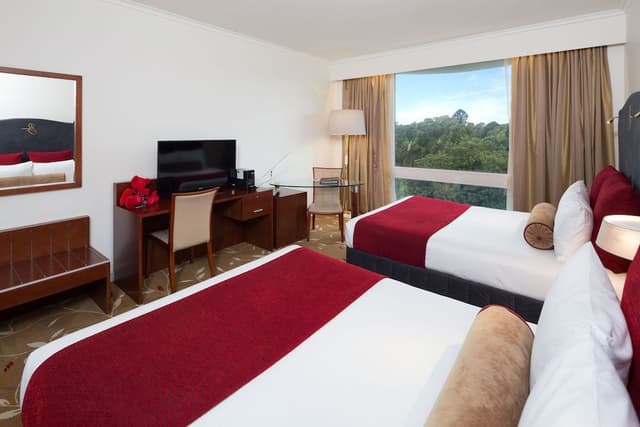 Premium Twin Room, Park View