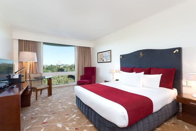 Premium Room, 1 King Bed, Park View