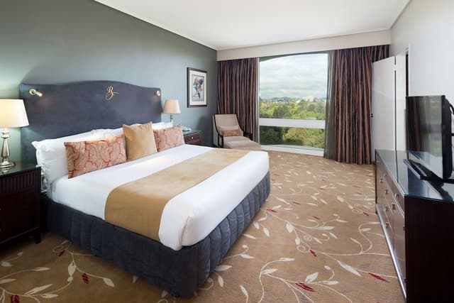 Executive Suite, Jetted Tub (Includes bottle of Champagne)