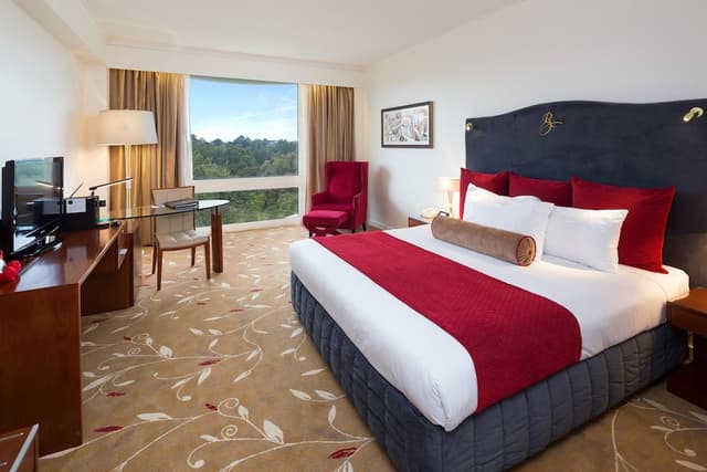 Premium Twin Room, Park View