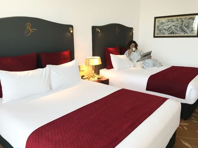 Premium Twin Room, Park View