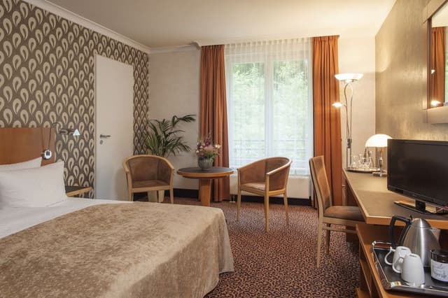 Standard Single Room (incl. 3.50€ per room/night Energy Fee)