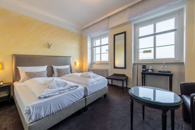 Basic Double Room