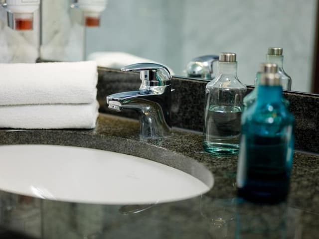 Junior Suite (Basel or mountain view)