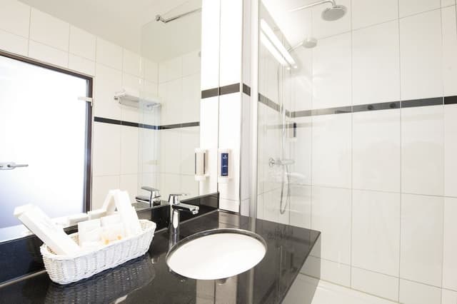 Junior Suite (Basel or mountain view)