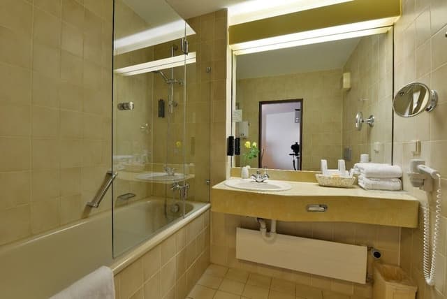 Superior Double Room (Basel or mountain view)