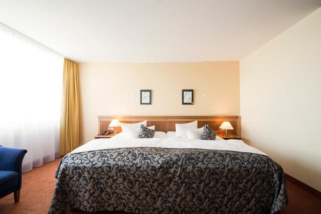 Junior Suite Double or Twin with Basel or Mountain View