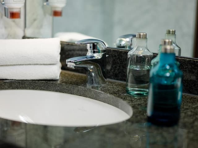 Junior Suite Double or Twin with Basel or Mountain View