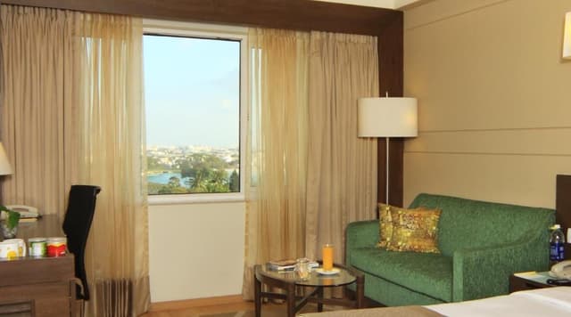 Deluxe City View King Room (Business Double Room)