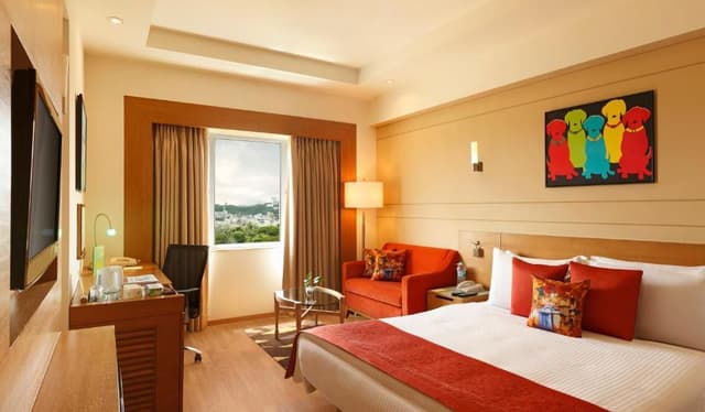 Deluxe City View King Room (Business Double Room)