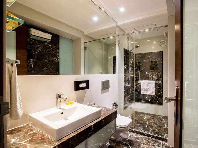 Executive Double or Twin Room
