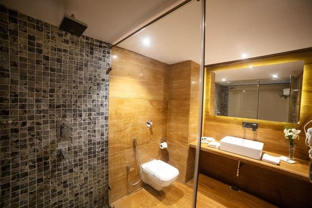 Super Deluxe Lake Facing Room