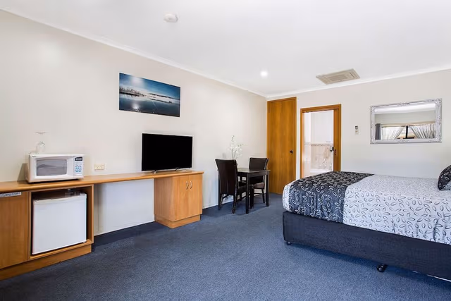 Room, 1 King Bed