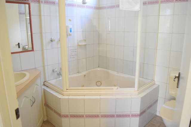 Deluxe Queen Spa Room