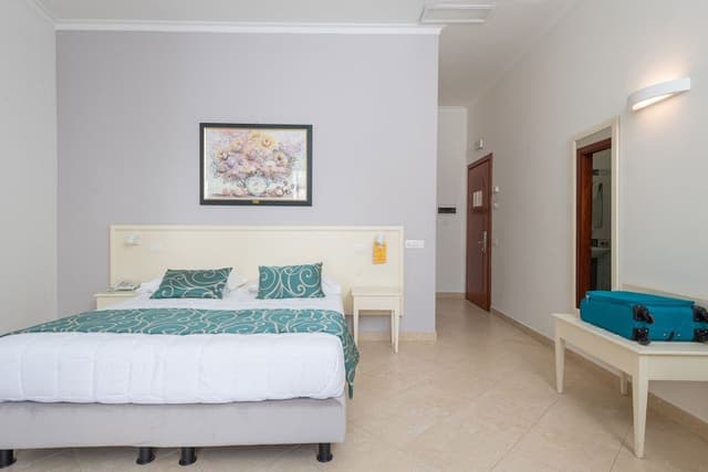 Superior Double Room Single Use