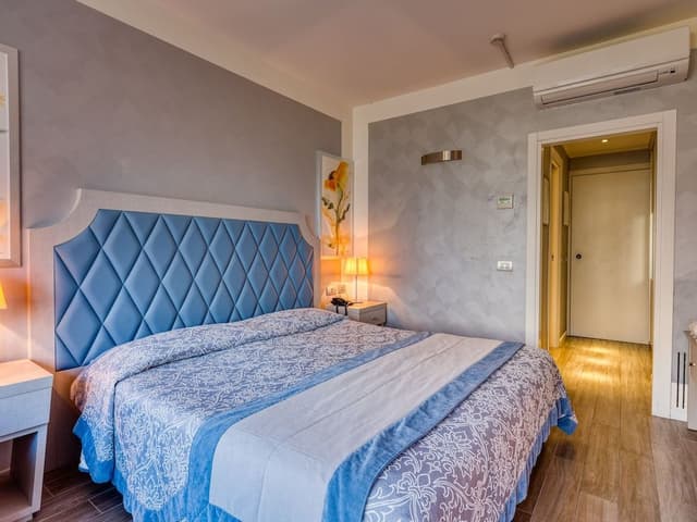 Superior Double Room with Balcony Parc Feeling
