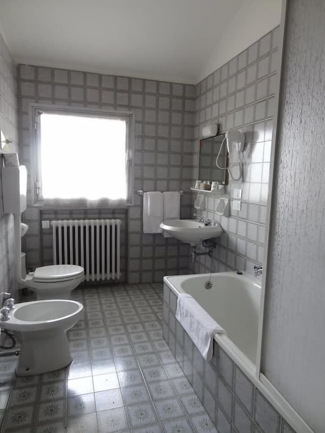 Basic Double or Twin Room, Mountain View