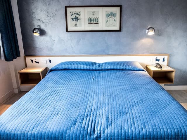 Basic Double or Twin Room, Mountain View