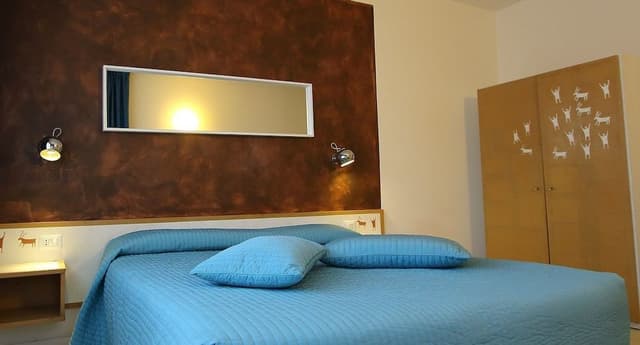 Basic Double or Twin Room, Mountain View