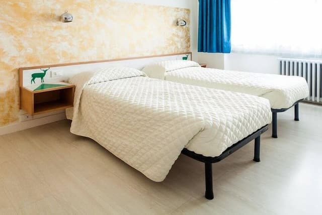 Basic Double or Twin Room, Mountain View