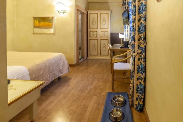 Standard Double or Twin Room