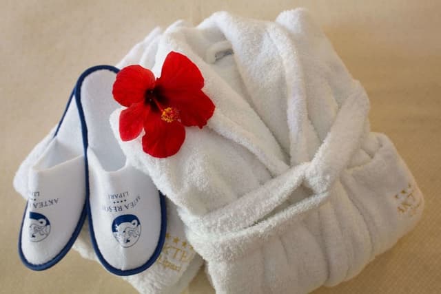Comfort Double Room, 1 Double or 2 Twin Beds, Garden View