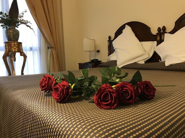 Classic Double or Twin Room